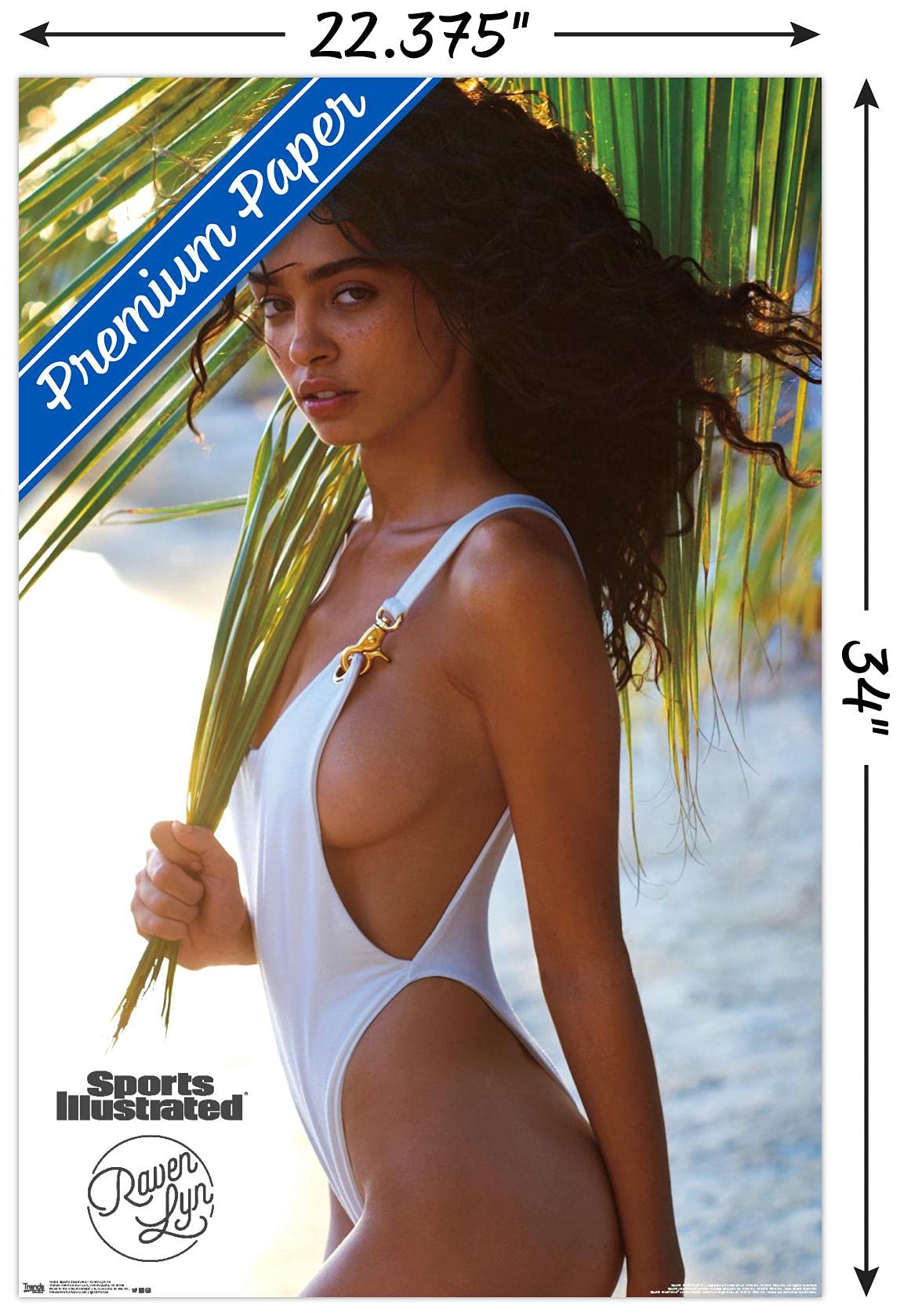 Amazon.com: Trends International Sports Illustrated: Swimsuit